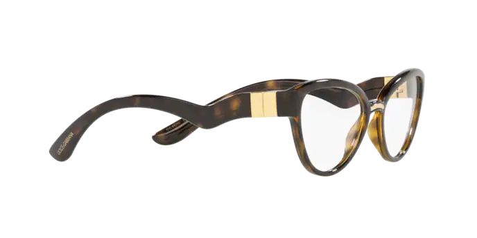 Dolce & Gabbana Eyeglasses DG5079 502