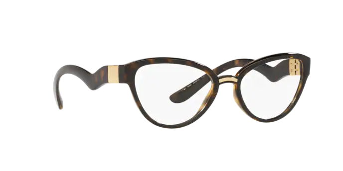 Dolce & Gabbana Eyeglasses DG5079 502