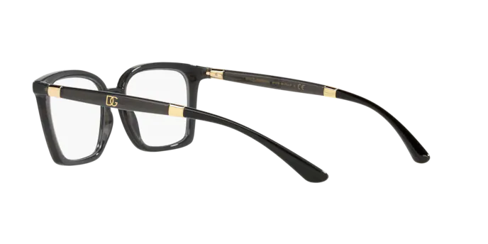 Dolce & Gabbana Eyeglasses DG5081 3246