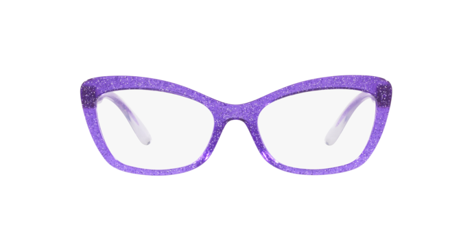 Dolce & Gabbana Eyeglasses DG5082 3353