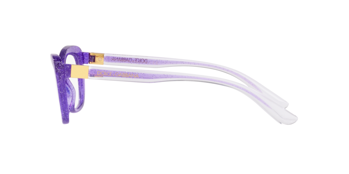 Dolce & Gabbana Eyeglasses DG5082 3353