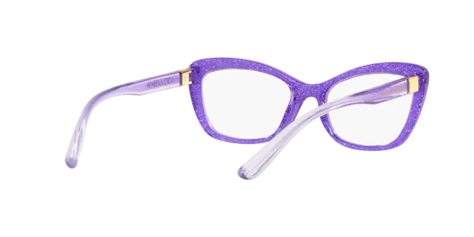 Dolce & Gabbana Eyeglasses DG5082 3353