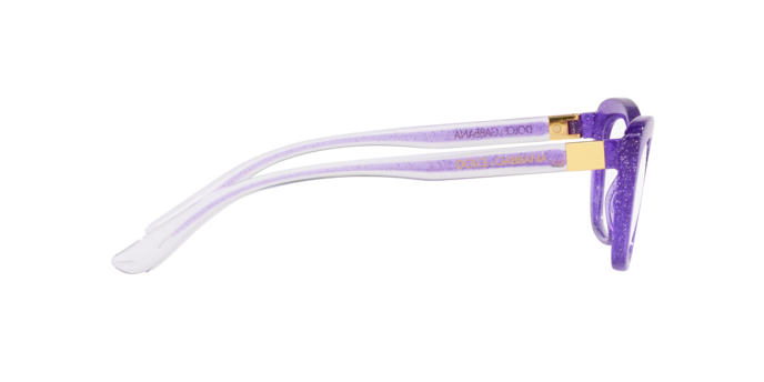 Dolce & Gabbana Eyeglasses DG5082 3353