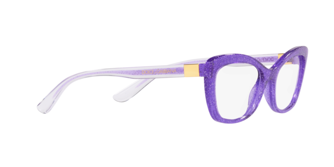 Dolce & Gabbana Eyeglasses DG5082 3353