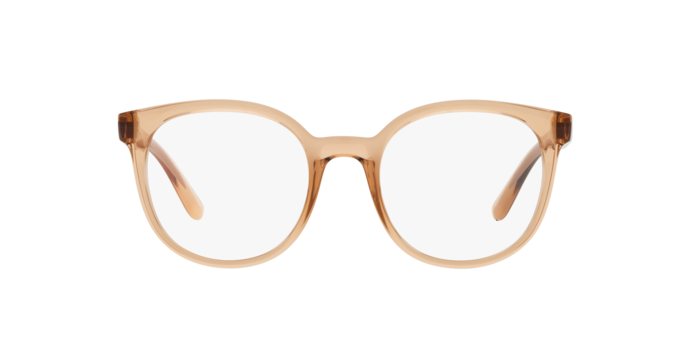 Dolce & Gabbana Eyeglasses DG5083 3399
