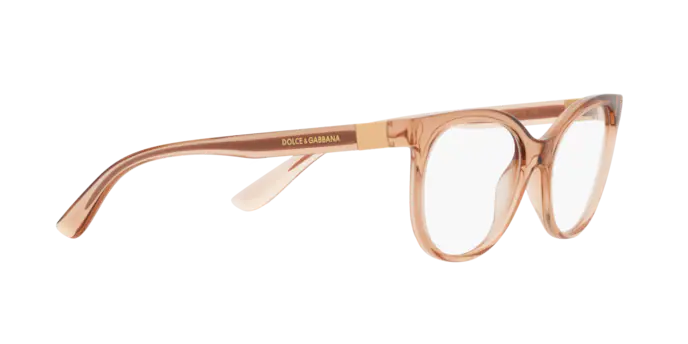 Dolce & Gabbana Eyeglasses DG5084 3399