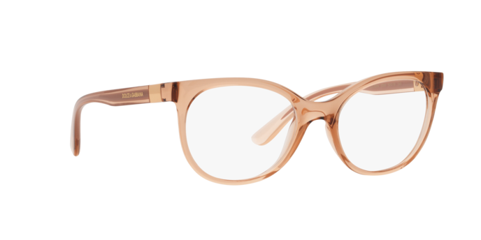 Dolce & Gabbana Eyeglasses DG5084 3399