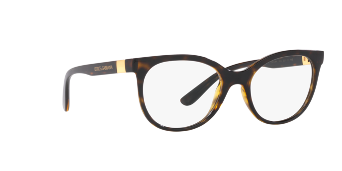 Dolce & Gabbana Eyeglasses DG5084 502