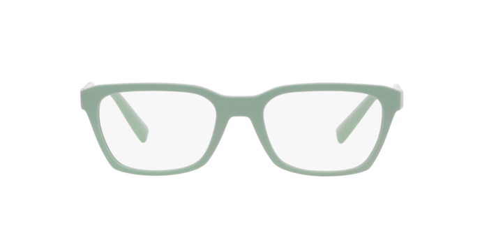 Dolce & Gabbana Eyeglasses DG5088 3395