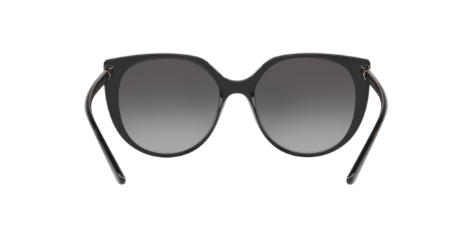 Dolce & Gabbana Sunglasses DG6119 501/8G