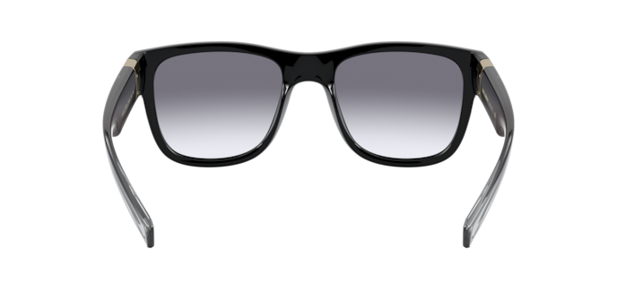 Dolce & Gabbana Sunglasses DG6132 675/79