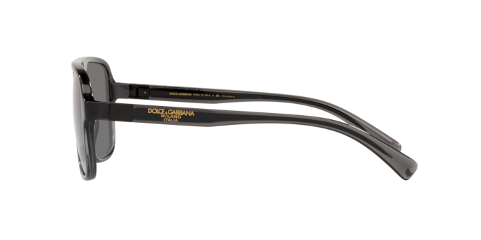 Dolce & Gabbana Sunglasses DG6134 325781