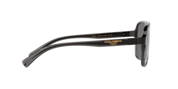 Dolce & Gabbana Sunglasses DG6134 325781
