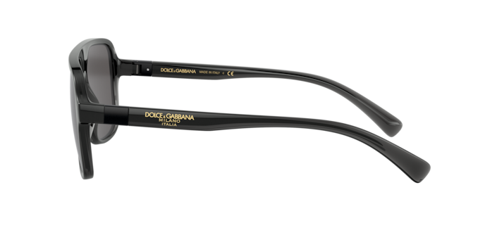 Dolce & Gabbana Sunglasses DG6134 325787