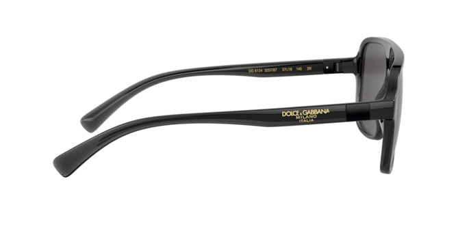 Dolce & Gabbana Sunglasses DG6134 325787