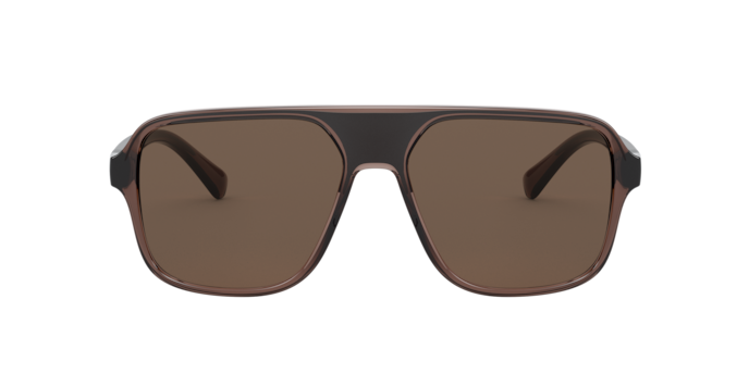 Dolce & Gabbana Sunglasses DG6134 325973