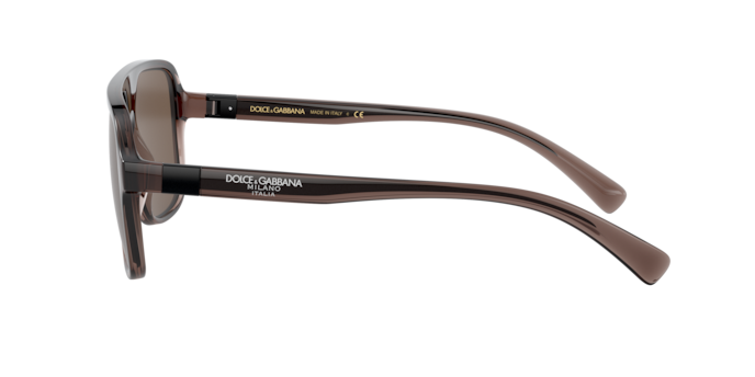 Dolce & Gabbana Sunglasses DG6134 325973