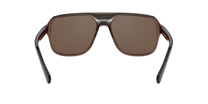 Dolce & Gabbana Sunglasses DG6134 325973