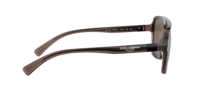 Dolce & Gabbana Sunglasses DG6134 325973