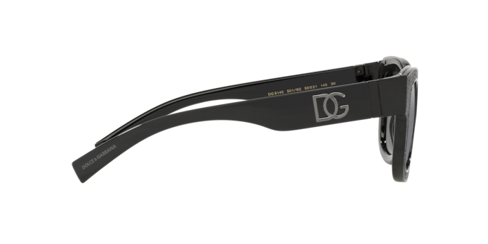 Dolce & Gabbana Sunglasses DG6140 501/6G