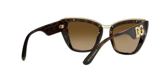 Dolce & Gabbana Sunglasses DG6144 502/13