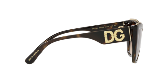 Dolce & Gabbana Sunglasses DG6144 502/13