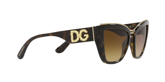 Dolce & Gabbana Sunglasses DG6144 502/13