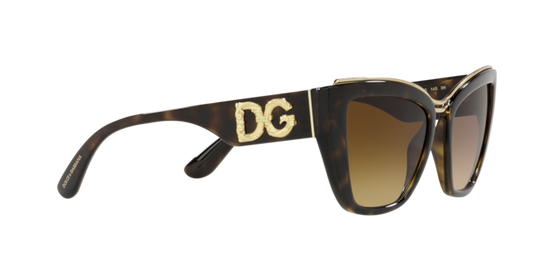 Dolce & Gabbana Sunglasses DG6144 502/13