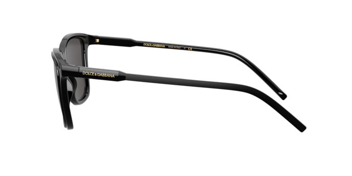 Dolce & Gabbana Sunglasses DG6145 501/87