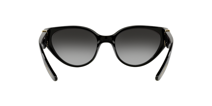 Dolce & Gabbana Sunglasses DG6146 501/8G