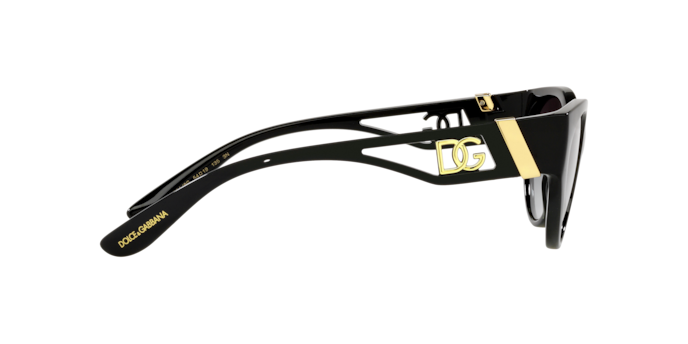 Dolce & Gabbana Sunglasses DG6146 501/8G