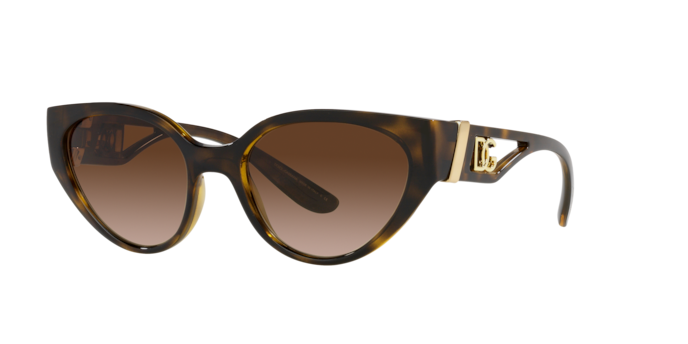 Dolce & Gabbana Sunglasses DG6146 502/13