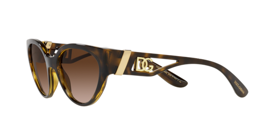 Dolce & Gabbana Sunglasses DG6146 502/13