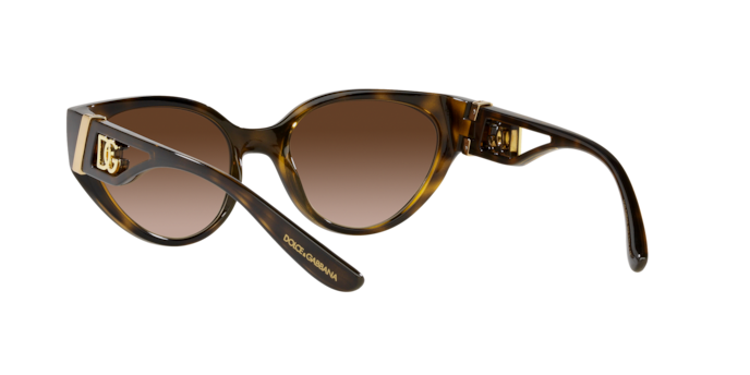 Dolce & Gabbana Sunglasses DG6146 502/13