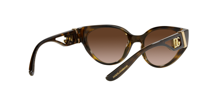 Dolce & Gabbana Sunglasses DG6146 502/13