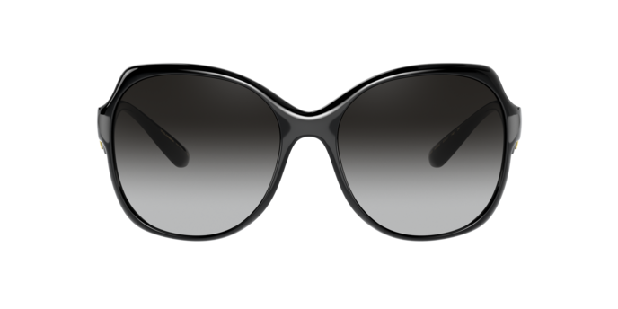 Dolce & Gabbana Sunglasses DG6154 501/8G