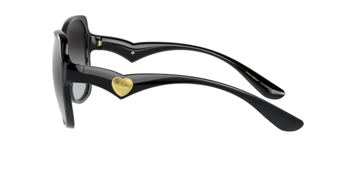 Dolce & Gabbana Sunglasses DG6154 501/8G