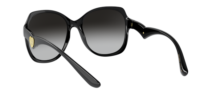 Dolce & Gabbana Sunglasses DG6154 501/8G