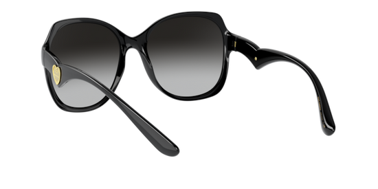 Dolce & Gabbana Sunglasses DG6154 501/8G