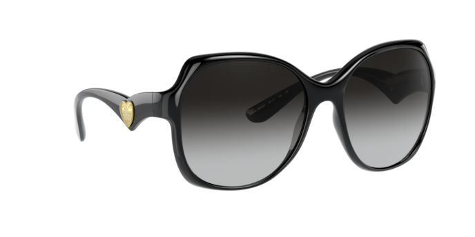 Dolce & Gabbana Sunglasses DG6154 501/8G