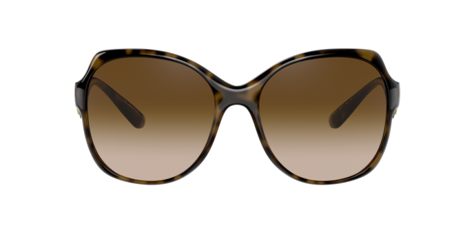 Dolce & Gabbana Sunglasses DG6154 502/13