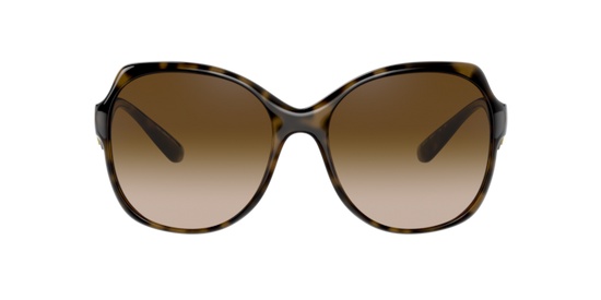 Dolce & Gabbana Sunglasses DG6154 502/13