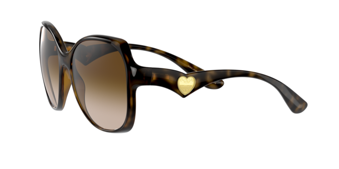Dolce & Gabbana Sunglasses DG6154 502/13