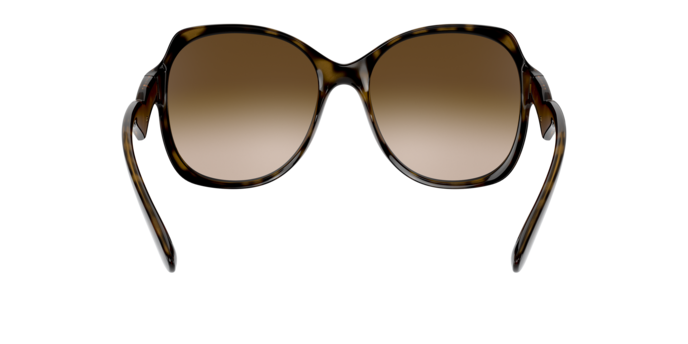 Dolce & Gabbana Sunglasses DG6154 502/13