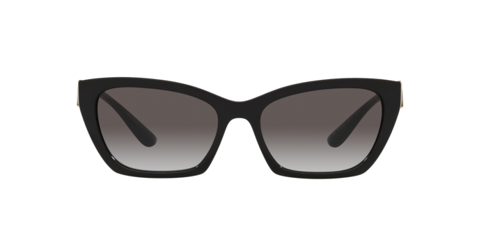 Dolce & Gabbana Sunglasses DG6155 501/8G