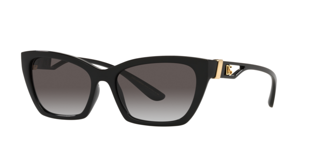 Dolce & Gabbana Sunglasses DG6155 501/8G