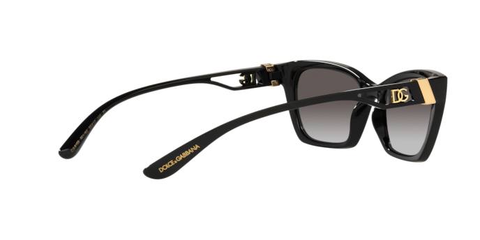 Dolce & Gabbana Sunglasses DG6155 501/8G