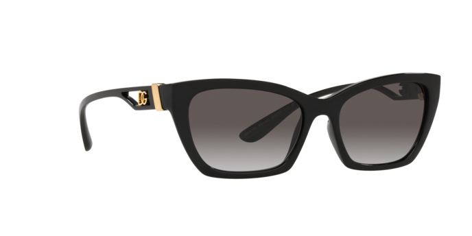 Dolce & Gabbana Sunglasses DG6155 501/8G