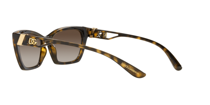 Dolce & Gabbana Sunglasses DG6155 502/13