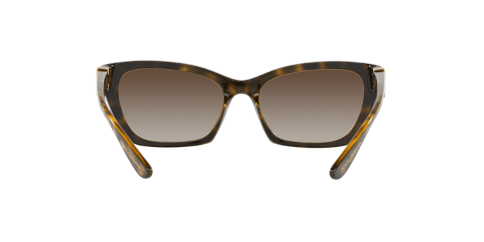 Dolce & Gabbana Sunglasses DG6155 502/13